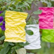 Les guirlandes lumineuses pour jardin