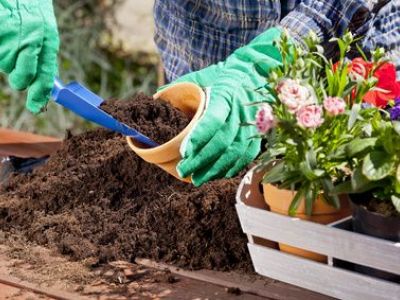 Les jardinières pour fleurir terrasses et rebords de fenêtres