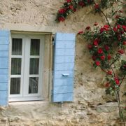 Les plantes grimpantes à palisser sur un mur