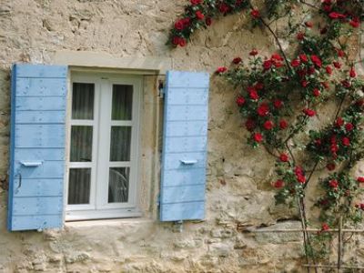 Les plantes grimpantes à palisser sur un mur