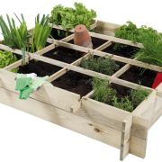 Les potagers en carré