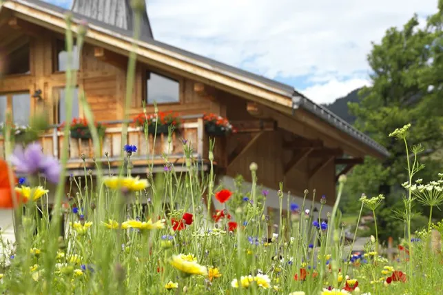 Les terrains de construction en montagne