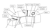 Lexique toiture : bien comprendre le schéma technique d’une toiture