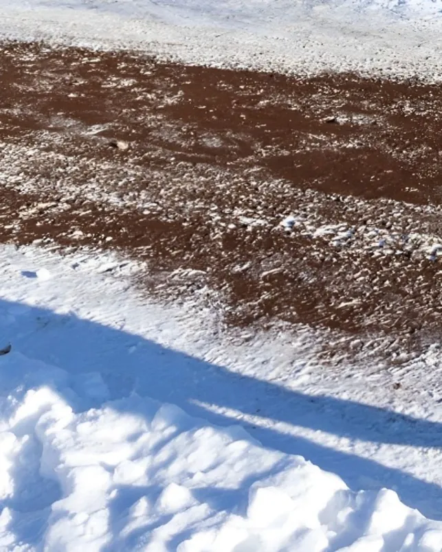 En hiver, utiliser le marc de café pour saler vos chemins peut être très pratique