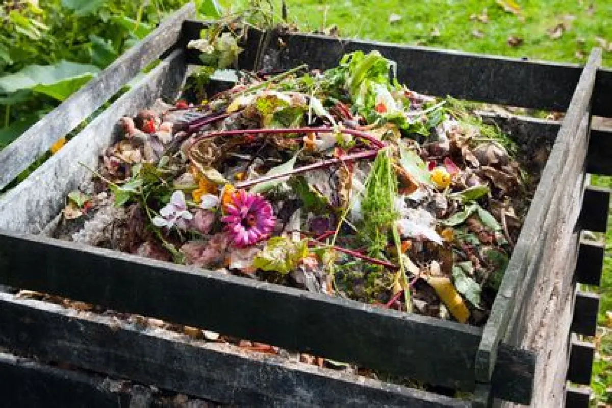 Que mettre dans un composteur de jardin ? – Mon Aménagement Jardin