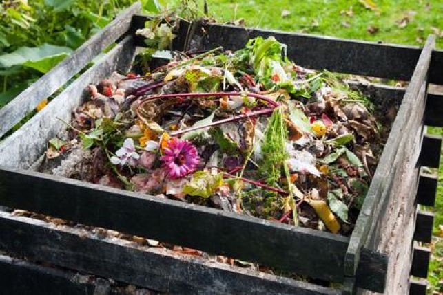 Mettre en place un compost dans son jardin
