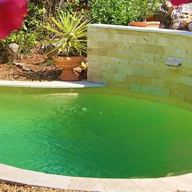 Apportez du cachet à votre jardin grâce à la mini piscine de forme plus traditionnelle