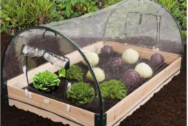 Mini serre de jardin disponible sur CDiscount