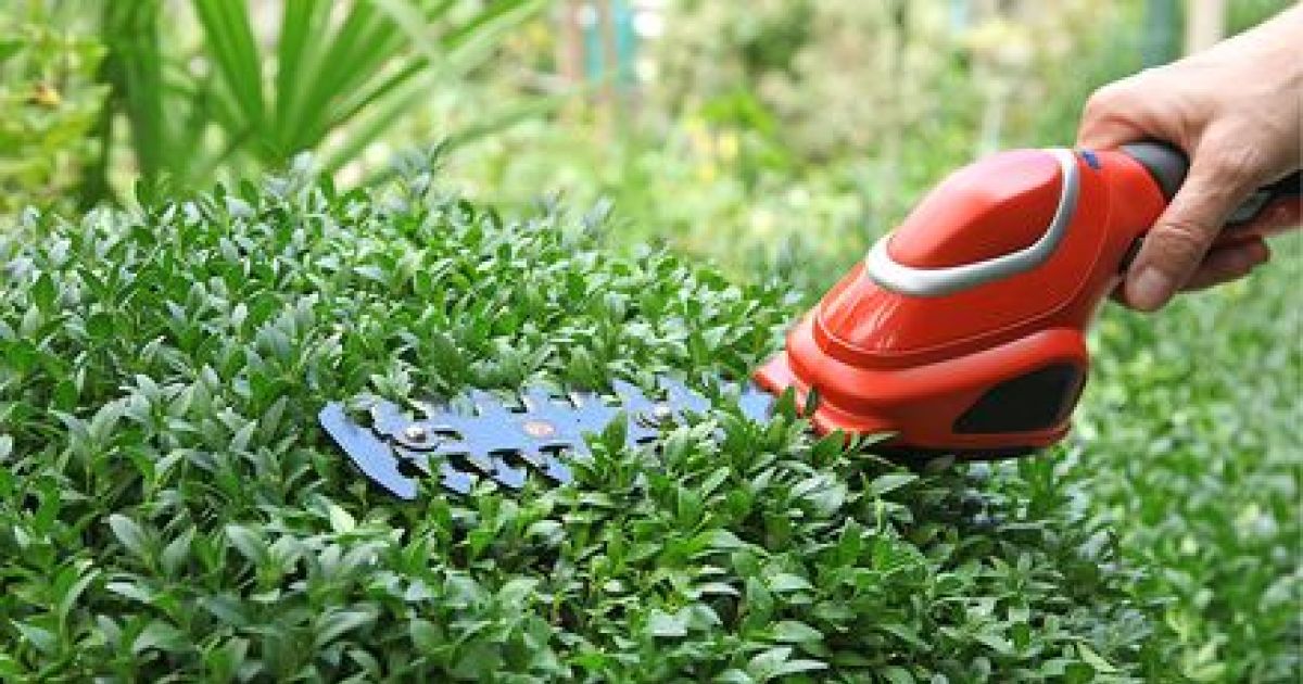 Nettoyage & Entretien du Jardin