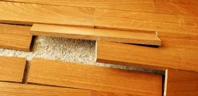 Parquet flottant gondolé : que faire ?