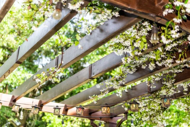 Pergolas de jardin