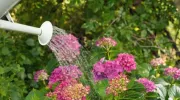 Période de vacances : à qui confier l'entretien de son jardin&nbsp;?