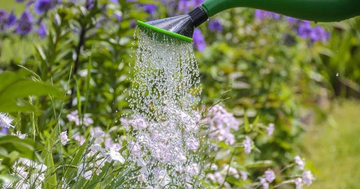 Peuton arroser avec l’eau d’un puits