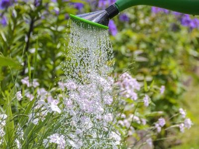 Peut-on arroser avec l’eau d’un puits ?