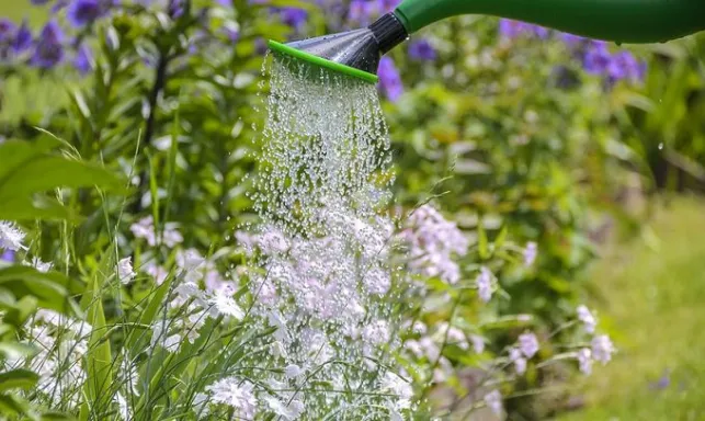 Peut-on arroser avec l’eau d’un puits ?