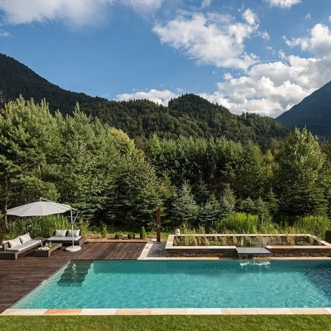 Une piscine naturelle et moderne avec une terrasse en bois