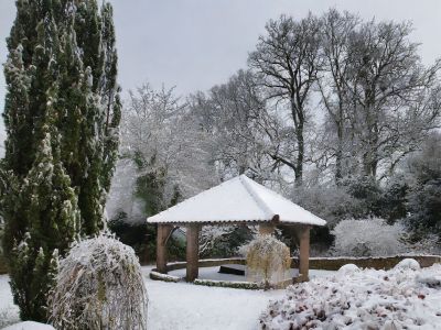 10 variétés d’arbustes et plantes qui résistent à l’hiver