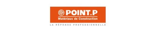 Point P