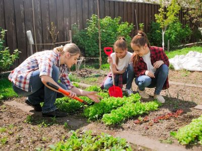 Potager : les règles de base