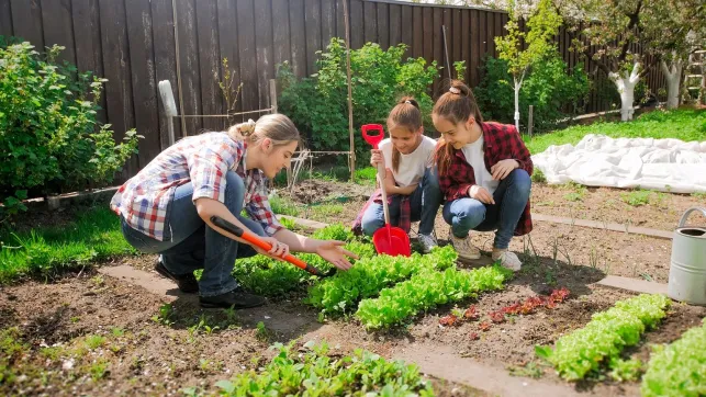 Potager : les règles de base