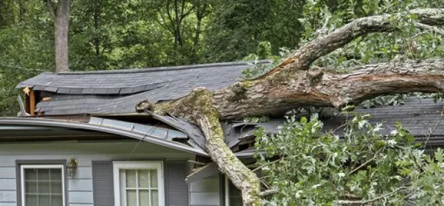 Protéger sa toiture des tempêtes