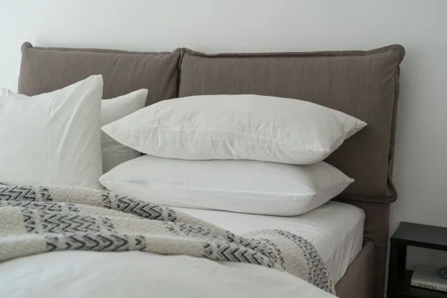 Punaises de lit : comment les éviter ?