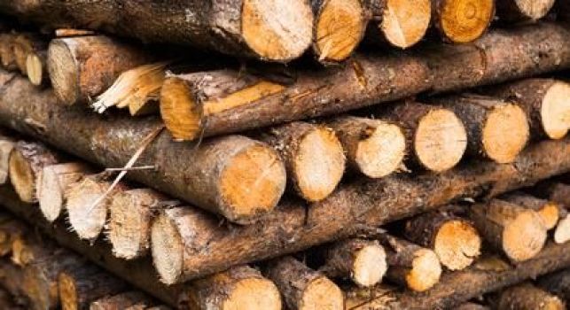 Quel bois utiliser pour une cheminée ?