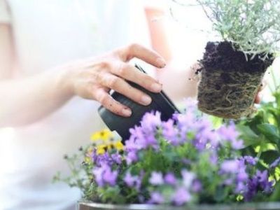 Quelle terre choisir pour vos jardinières ?