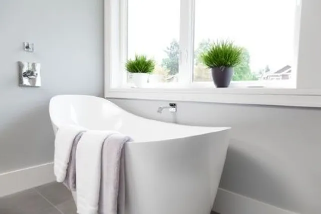 Quelles plantes choisir pour la salle de bain ?