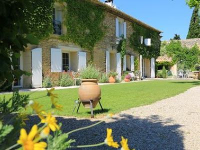 Exposition plein soleil : quelles plantes ou fleurs peuvent résister ?