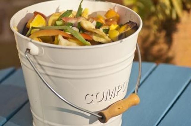 Quels déchets peut-on mettre au compost ?