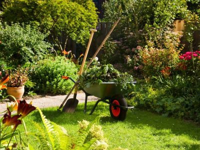 Redonner vie à un jardin en friche