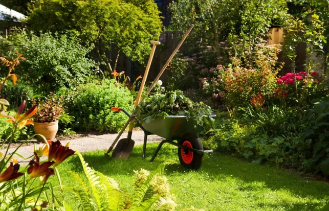 Redonner vie à un jardin en friche