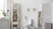 Relooker des toilettes