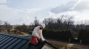Rénovation d’une toiture