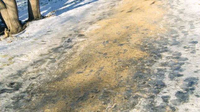 Le sable est une bonne alternative au sel (qui peut être nocif pour votre sol et vos plantes)