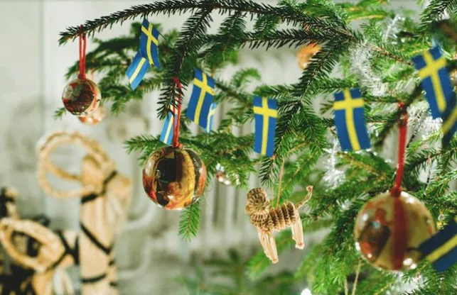 En Suède, ils pratiquent la cérémonie du "Julgransplundring" lors de la Saint Knut le 13 janvier