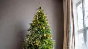 Sapin de Noël : Voici ce que dit la tradition sur la date pour l'enlever