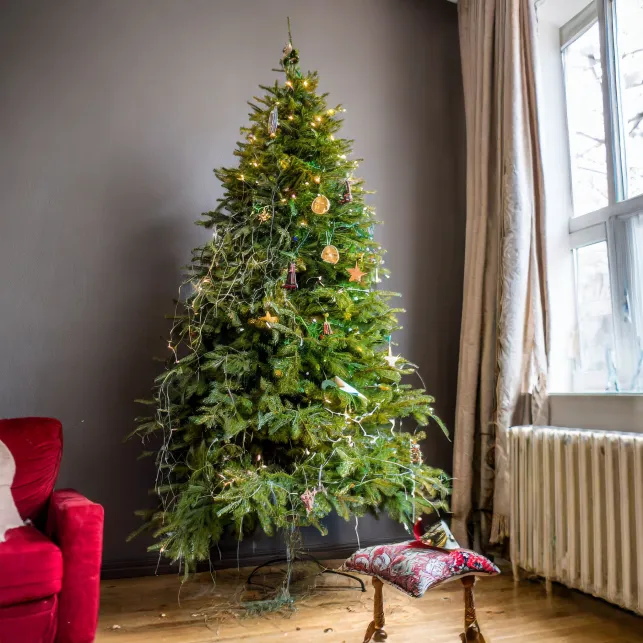 Voici ce que dit la tradition sur la date pour enlever son sapin de Noël