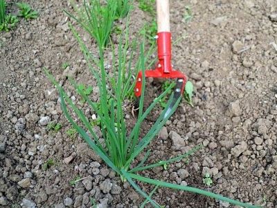 La technique du sarclage en jardinage