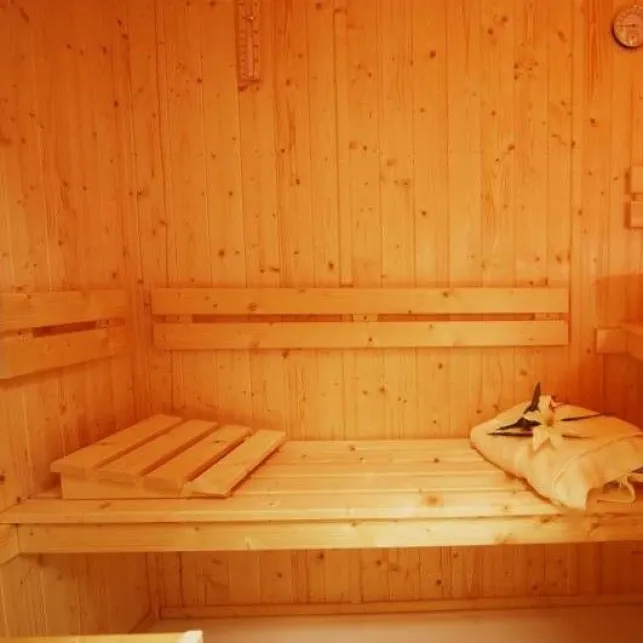 Le sauna combiné vapeur multifonction