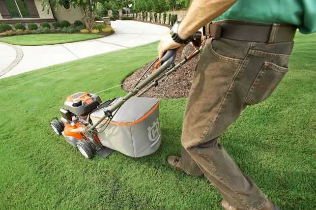 Service de jardinage à domicile :  comment ça fonctionne ?
