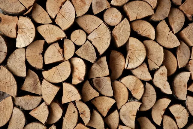 Stockez votre bois de chauffage dès maintenant pour passer le prochain hiver au chaud !