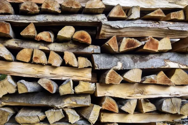 Le bois stocké doit être positionné de manière intelligente pour assurer une bonne aération 