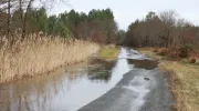 Terrain inondé