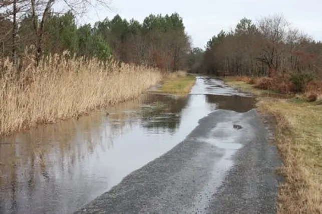 Terrain inondé