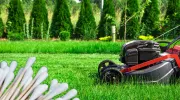 Vous ne croirez jamais à cette astuce innovante pour tondre votre pelouse à l'aide d'un simple coton-tige&nbsp;!