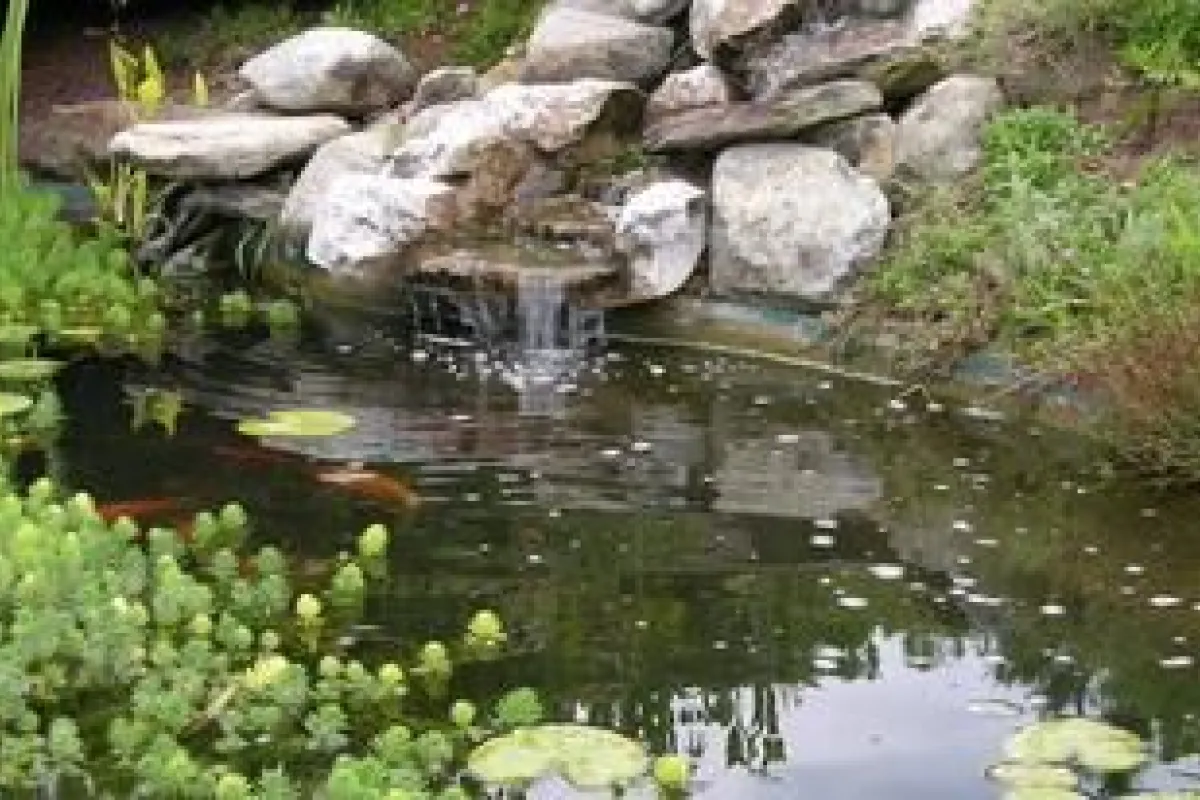 construire un petit bassin de jardin avec cascade - Bassin de jardin