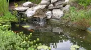 Un bassin de jardin avec cascade