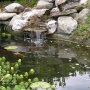 Un bassin de jardin avec cascade